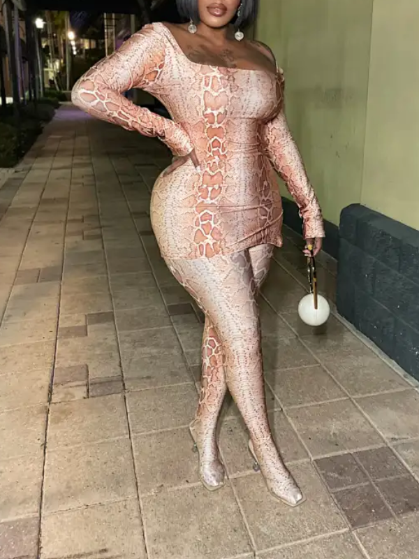 Slit Snake-Print  Top & Pants Set