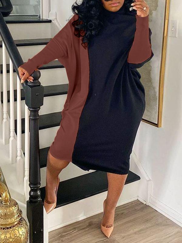 Morchique Two-Tone Turtleneck Dress