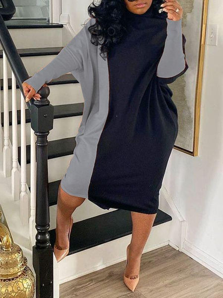 Morchique Two-Tone Turtleneck Dress